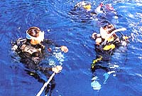 海洋実習でダイバーに!